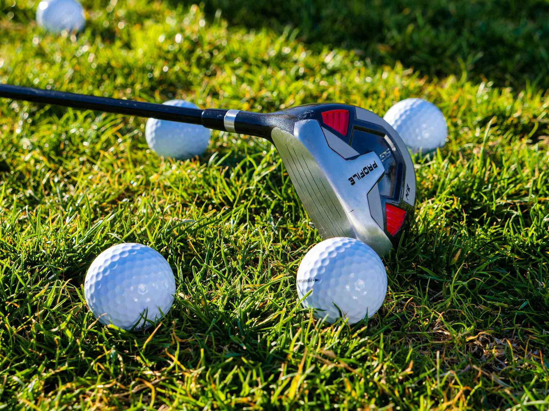 Ground Golf: deporte japonés en España